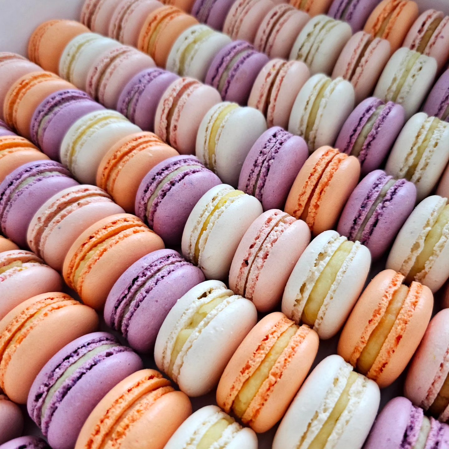 Coffret Macarons
